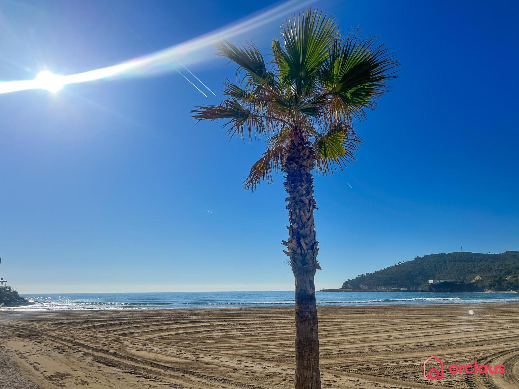 Cala Concha Apartment Oropesa del Mar Bagian luar foto